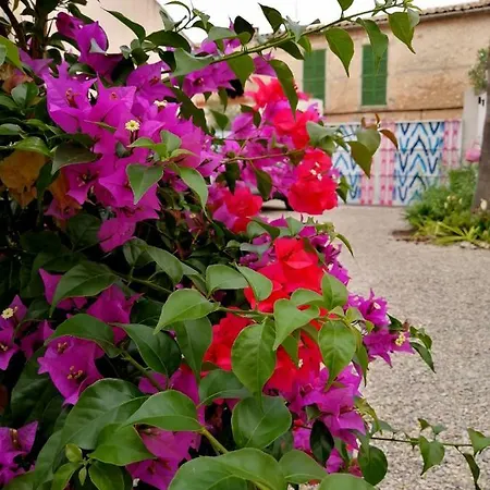 Hotel Mallorca - Adults Only Sineu (Mallorca)